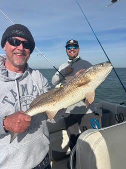 Fishing in Galveston, Texas
