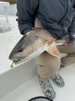 Fishing in Wilmington, North Carolina