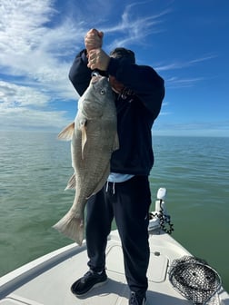 Fishing in Naples, Florida