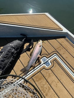 Fishing in Heber Springs, Arkansas