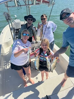 Fishing in Indian Rocks Beach, Florida
