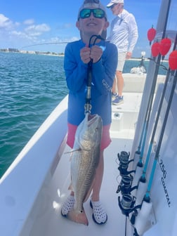 Fishing in Orange Beach, Alabama