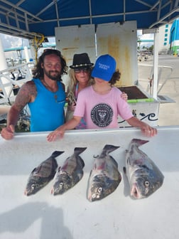 Fishing in Fort Myers Beach, Florida
