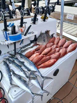 Fishing in Gulf Breeze, Florida