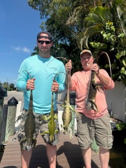 Fishing in West Palm Beach, Florida