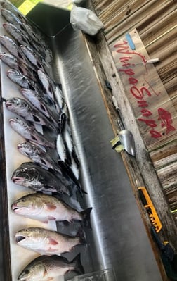 Fishing in D'Iberville, Mississippi
