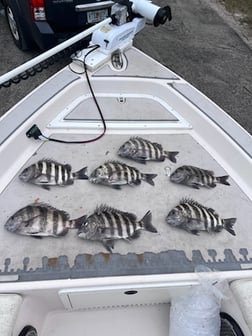 Fishing in Jacksonville, Florida