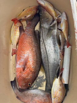 Fishing in Everglades City, Florida