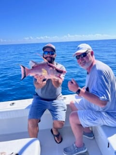 Fishing in Clearwater, Florida