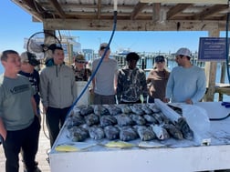 Fishing in Orange Beach, Alabama