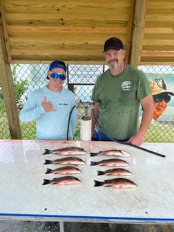 Mangrove Snapper fishing in Holmes Beach, Florida