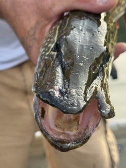 Fishing in Harrietta, Michigan