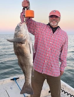 Black Drum Fishing in Galveston, Texas