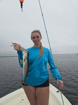 Fishing in Crawfordville, Florida