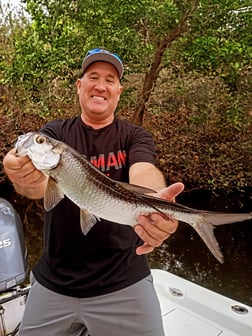 Fishing in Melbourne, Florida