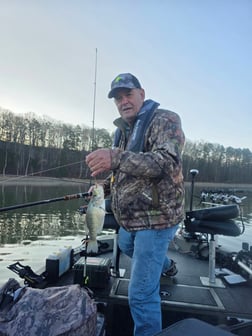 Fishing in Harrison, Tennessee