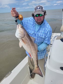 Speckled Trout Fishing in Sulphur, Louisiana