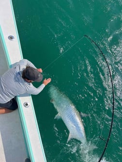 Fishing in St. Petersburg, Florida