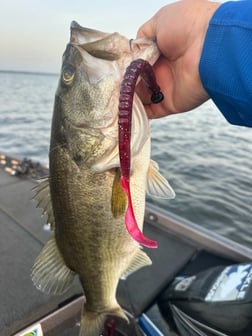 Fishing in Athens, Texas