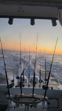 Fishing in Morehead City, North Carolina