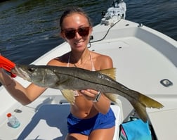 Fishing in Tampa, Florida