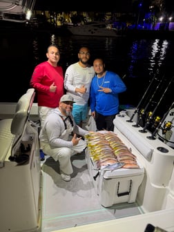 Fishing in Miami, Florida