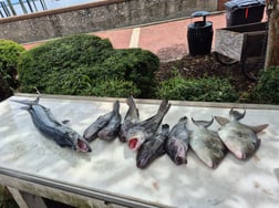 Fishing in St. Marys, Georgia