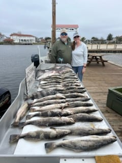 Fishing in Lacombe, Louisiana