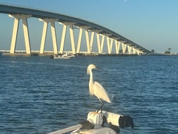 Fishing in Saint James City, Florida