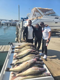 Fishing in Wyandotte, Michigan