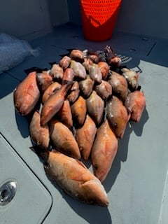 Fishing in Naples, Florida