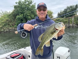 Fishing in Stockton, California