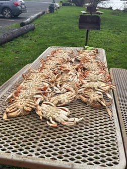 Fishing in Garibaldi, Oregon