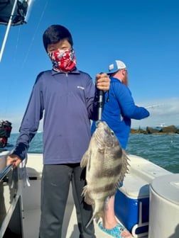 Fishing in Galveston, Texas