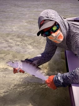 Fishing in Tavernier, Florida