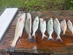 Fishing in Morehead City, North Carolina