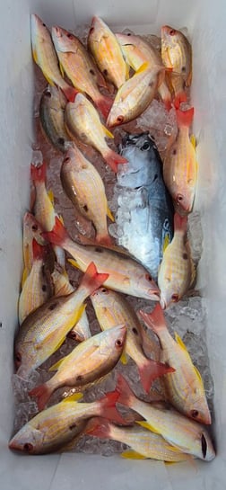 Fishing in Vero Beach, Florida