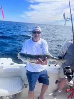Fishing in Dennis, Massachusetts