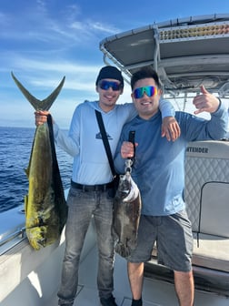Fishing in Miami, Florida