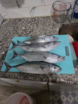 Fishing in Fort Walton Beach, Florida
