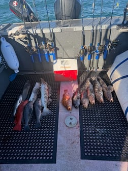 Fishing in Garibaldi, Oregon