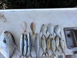 Fishing in Key Largo, Florida