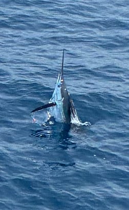 Fishing in Hatteras, North Carolina