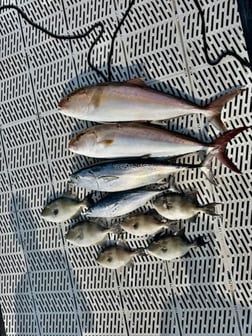 Fishing in Morehead City, North Carolina