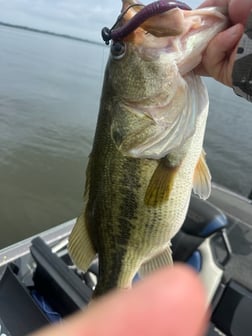 Fishing in Athens, Texas