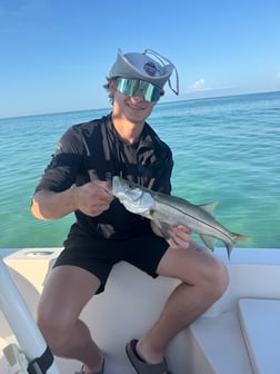Fishing in Sarasota, Florida
