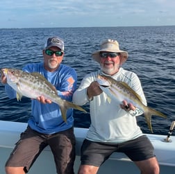 Fishing in Marathon, Florida