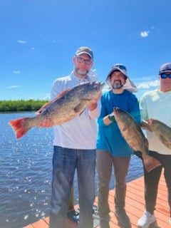 Fishing in Palmetto, Florida