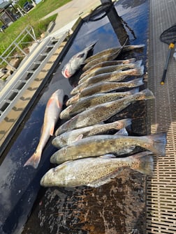 Fishing in Galveston, Texas