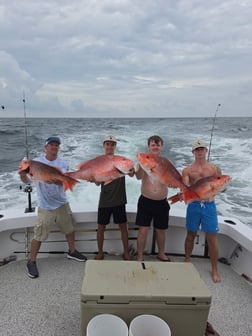 Fishing in Orange Beach, Alabama